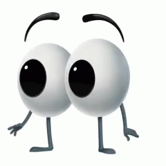 zoki